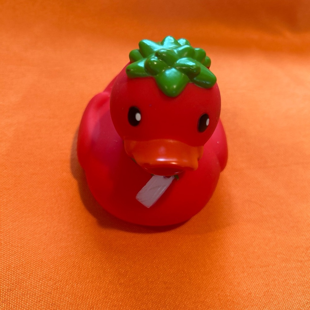 Infantino Red and Green Rubber Duck
